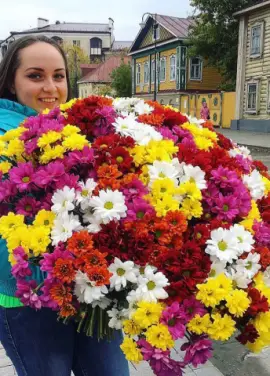 Chrysantemum