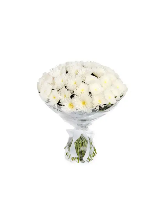 Bouquet of fluffy white chrysanthemum