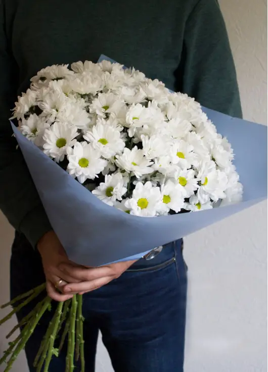 Chrysantemum