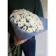 Chrysantemum