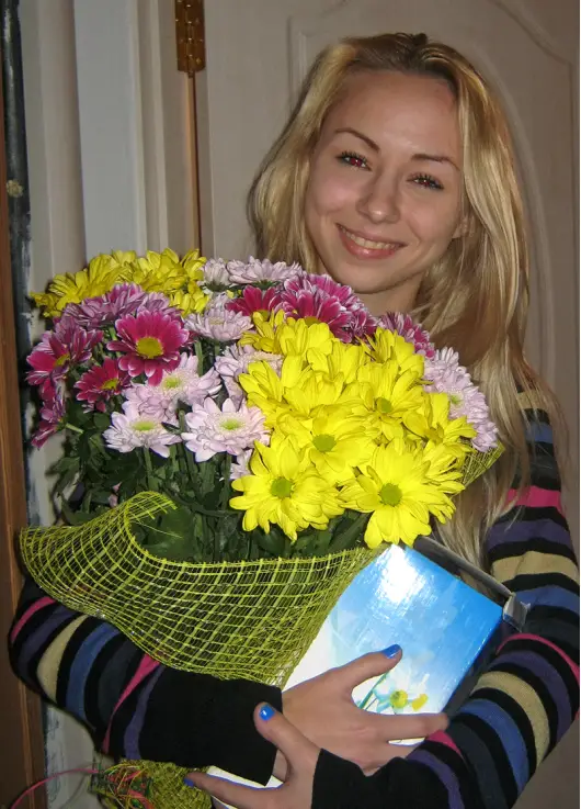 Chrysantemum Assorti 