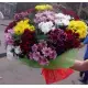 Chrysantemum Assorti 