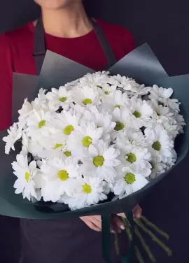 Chrysantemum