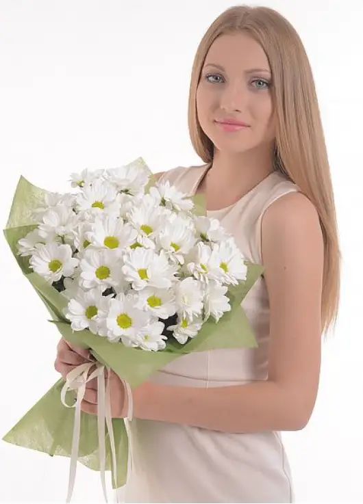 Chrysantemum