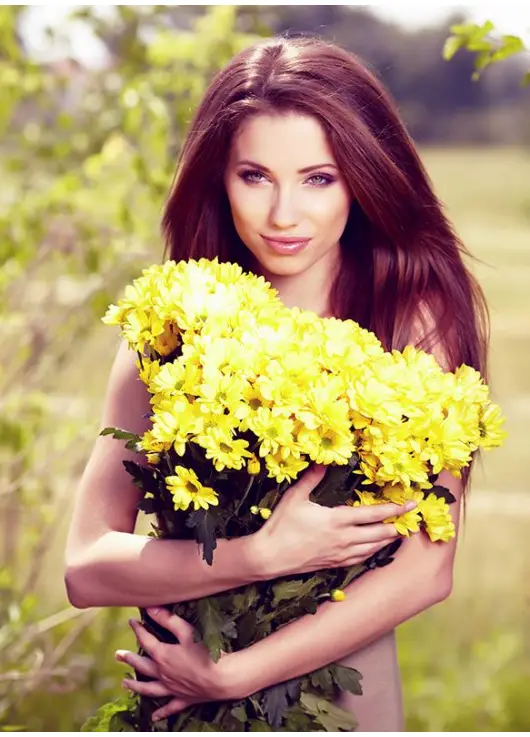 Chrysantemum