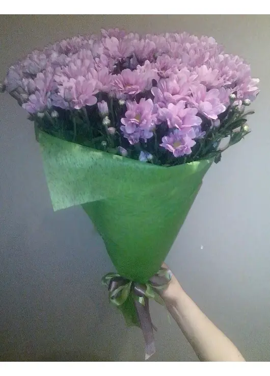 Chrysantemum