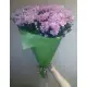 Chrysantemum