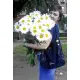 Bouquet of camomiles Bouquet of camomiles