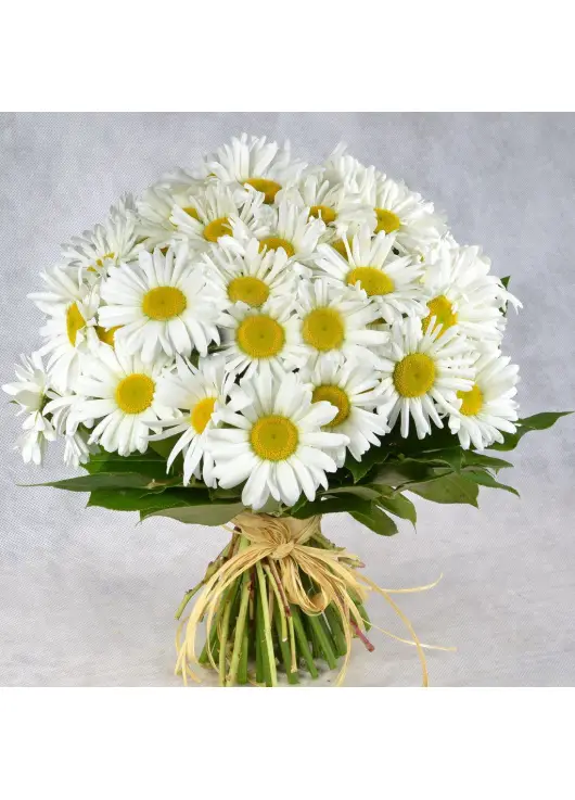 Bouquet of camomiles Bouquet of camomiles