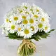 Bouquet of camomiles Bouquet of camomiles