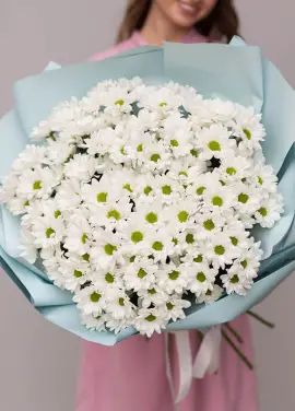 Chrysantemum