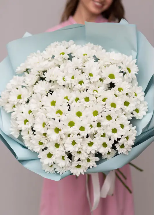 Chrysantemum