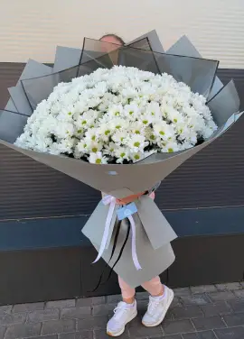 Chrysantemum