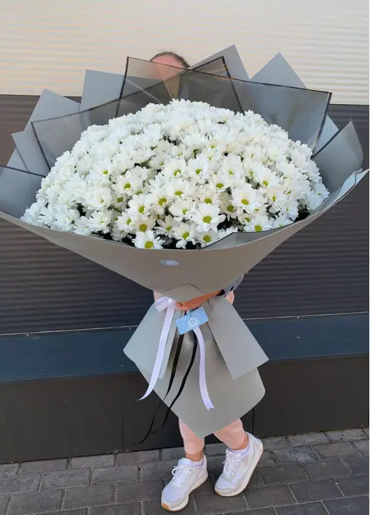 Chrysantemum