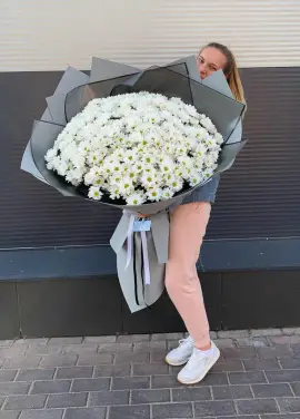 Chrysantemum