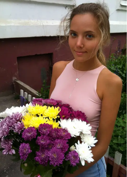 Chrysantemum Assorti 