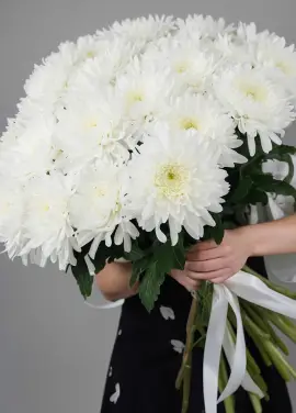 Bouquet of large white chrysanthemum "avalanche"