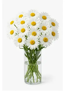 Small Daisy Bouquet 15 Stems