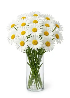 Small Daisy Bouquet 17 Stems
