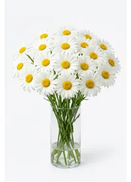 Medium Daisy Bouquet 19 Stems