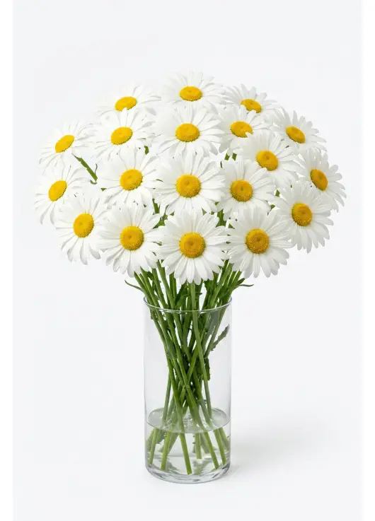 Medium Daisy Bouquet 19 Stems