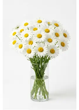 Medium Daisy Bouquet 21 Stems