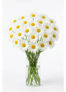Medium Daisy Bouquet 25 Stems