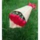 Roses in newspaper