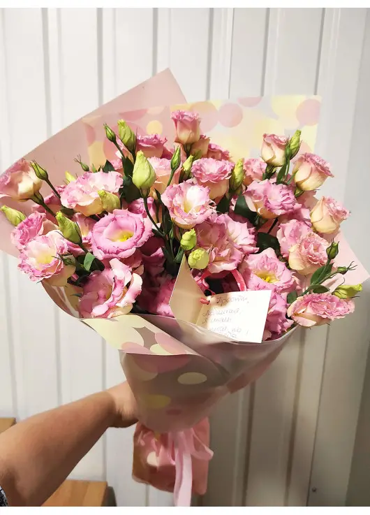 Pink eustoma