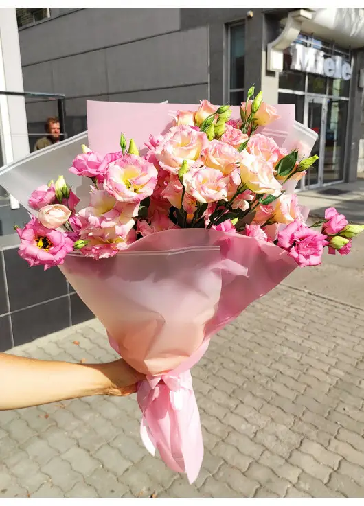 Pink eustoma