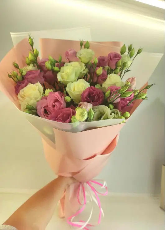 Pink eustoma