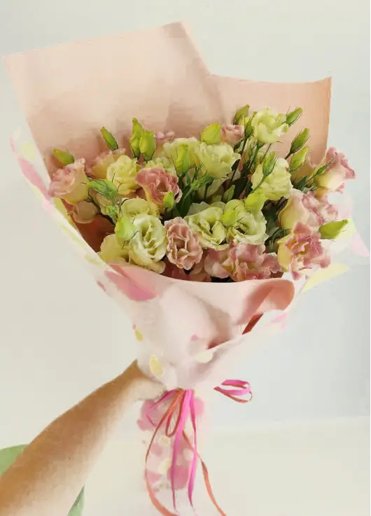 Pink eustoma