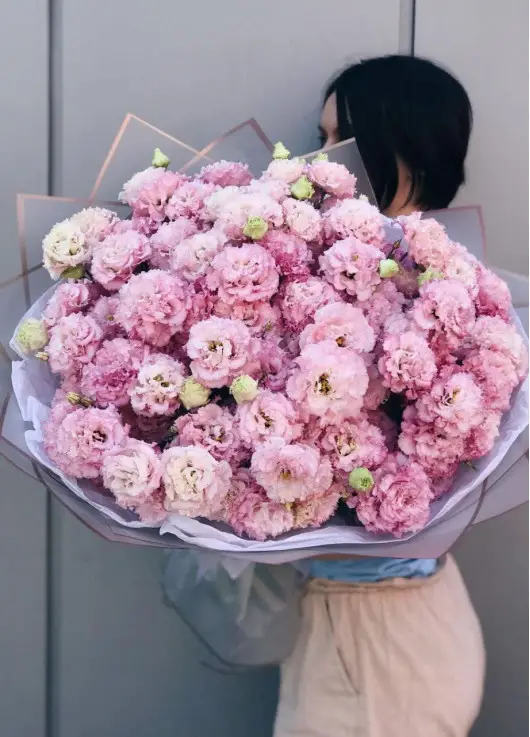 Pink eustoma