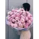 Pink eustoma
