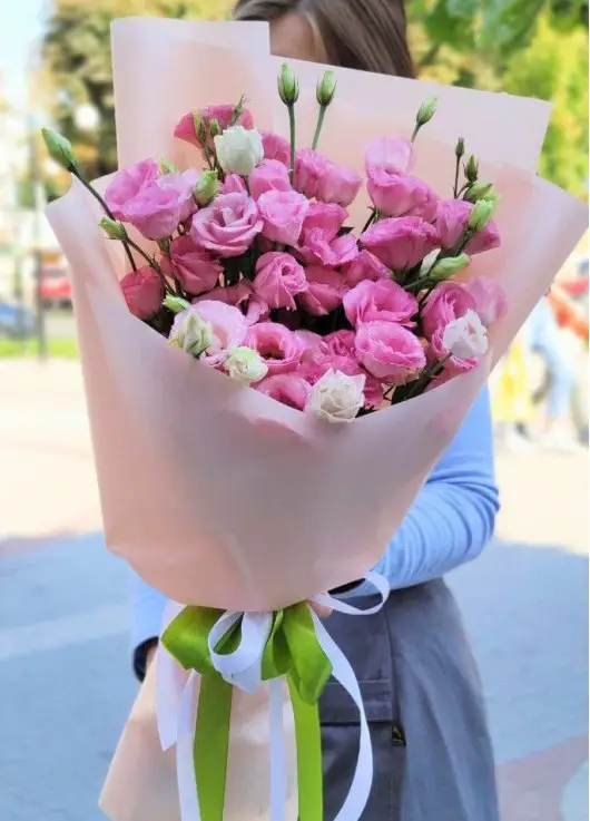 Pink eustoma