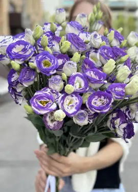 White-violet lisianthus