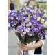 White-violet lisianthus