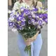 White-violet lisianthus