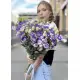 White-violet lisianthus