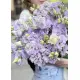 Lavender, lilac eastoma Lavender, lilac eastoma