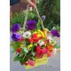 Mix bouquet