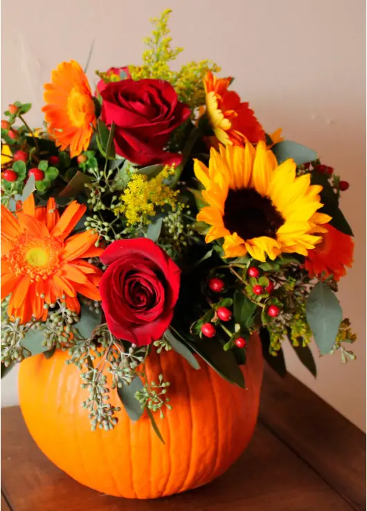 Happy Halloween