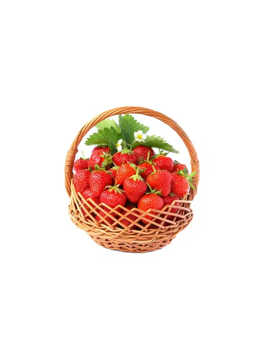 Juicy strawberries! 