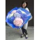 Hydrangea