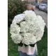 White hydrangeas White hydrangeas