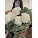 White hydrangeas White hydrangeas