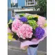 Hydrangea