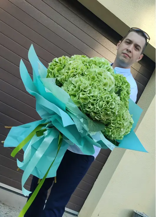 Light green hydrangeas Light green hydrangeas