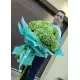 Light green hydrangeas Light green hydrangeas