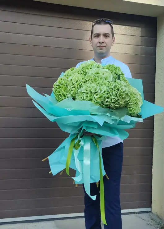 Light green hydrangeas Light green hydrangeas